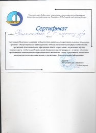 Достижения