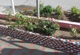 Мои увлечения_16