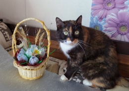 Работы объединения 