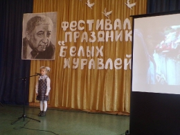 Фестиваль 